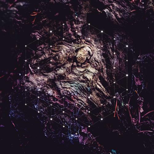 Psychonaut  - Unfold the God Man