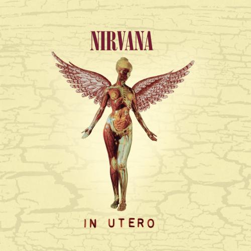 Albumhoes: In Utero van Nirvana