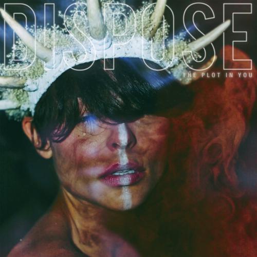 Albumhoes: Dispose van The Plot In You