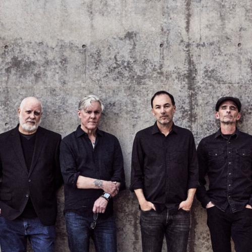 Toadies