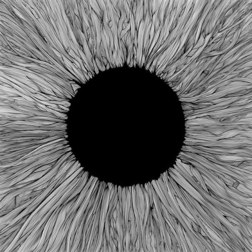 Albumhoes: Witness van VOLA
