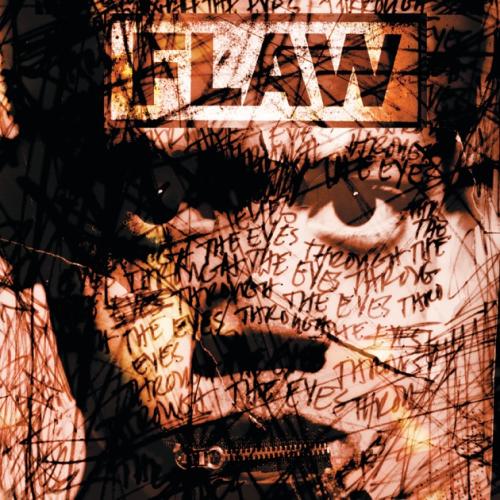 Flaw  - Through the Eyes