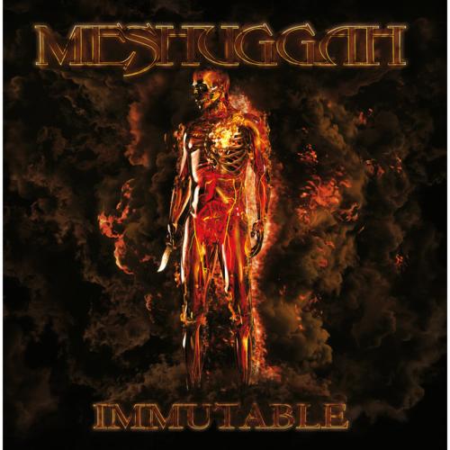 Albumhoes: Immutable van Meshuggah