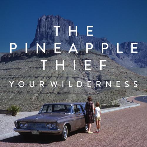 Albumhoes: Your Wilderness van The Pineapple Thief