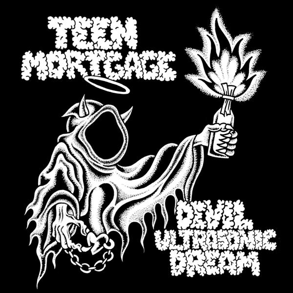 Albumhoes: Devil Ultrasonic Dream