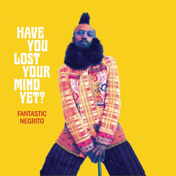 Albumhoes: Have You Lost Your Mind Yet?