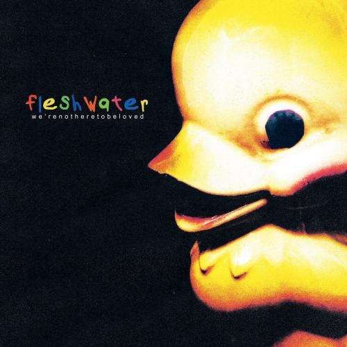 Albumhoes: We're Not Here To Be Loved van Fleshwater