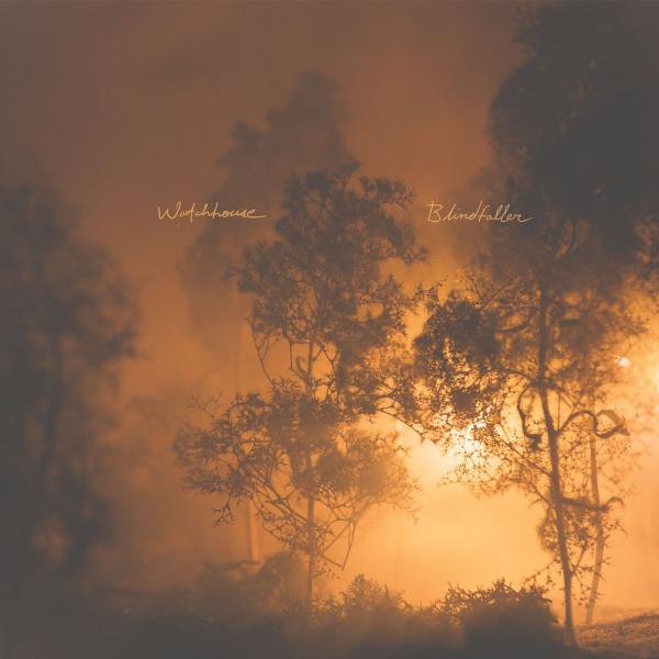Albumhoes: Blindfaller