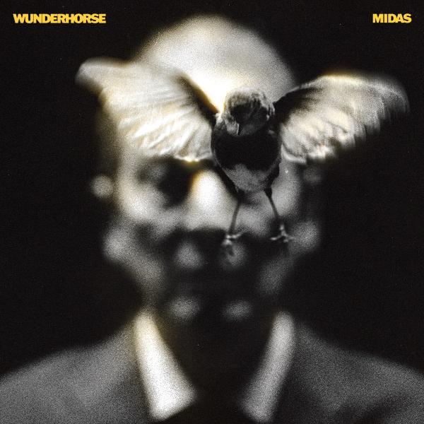 Albumhoes: Midas