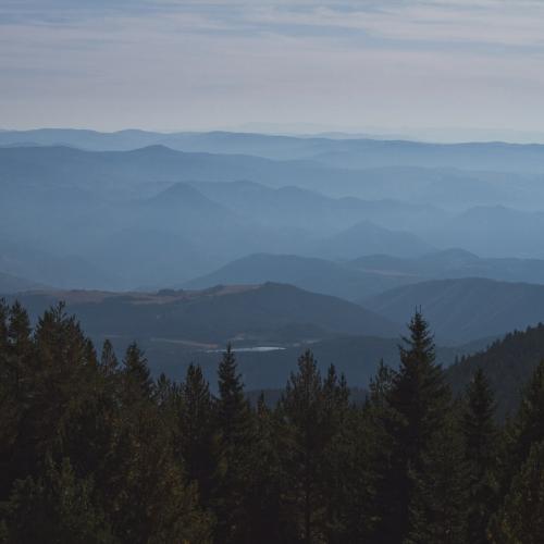 Maybeshewill  - No Feeling Is Final