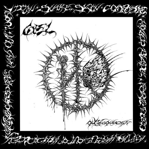 Gel  - Only Constant