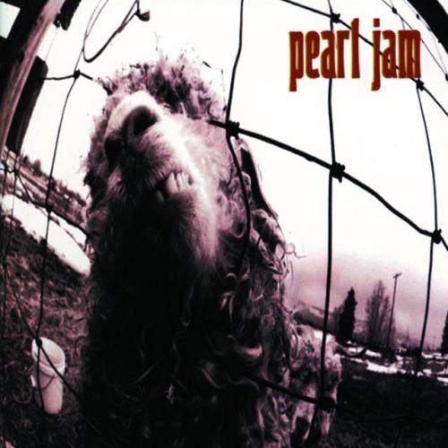 Albumhoes: Vs. van Pearl Jam