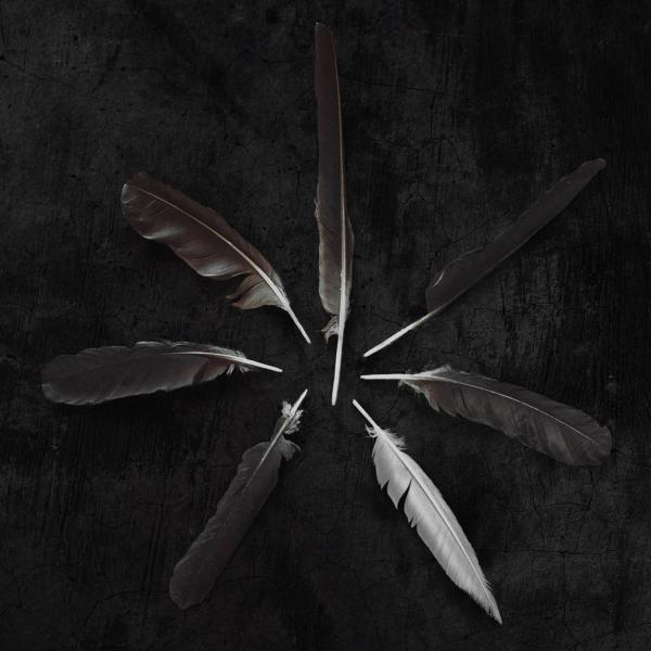 Albumhoes: Dust and Disquiet