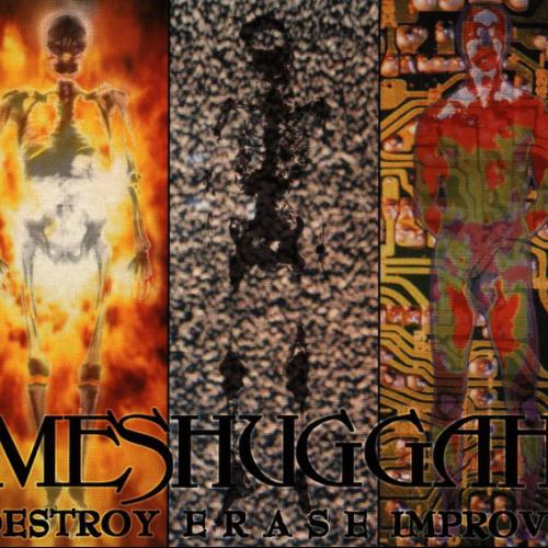 Albumhoes: Destroy Erase Improve van Meshuggah