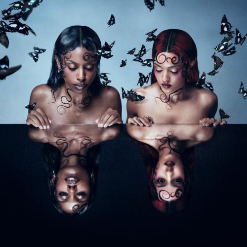 Albumhoes: Parasites & Butterflies van Nova Twins