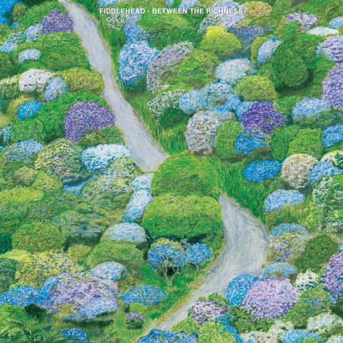 Fiddlehead  - Between the Richness