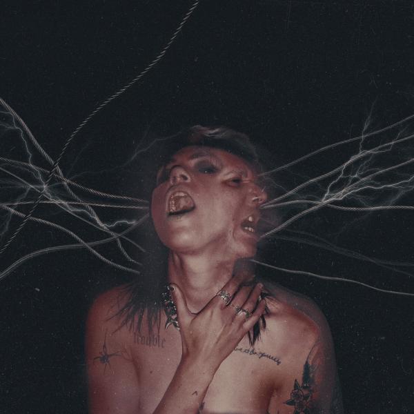 Albumhoes: A Call To The Void