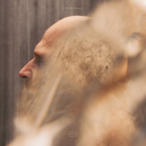 Albumhoes: Violate Consensus Reality van Psychonaut
