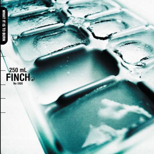 Albumhoes: What It Is to Burn van Finch