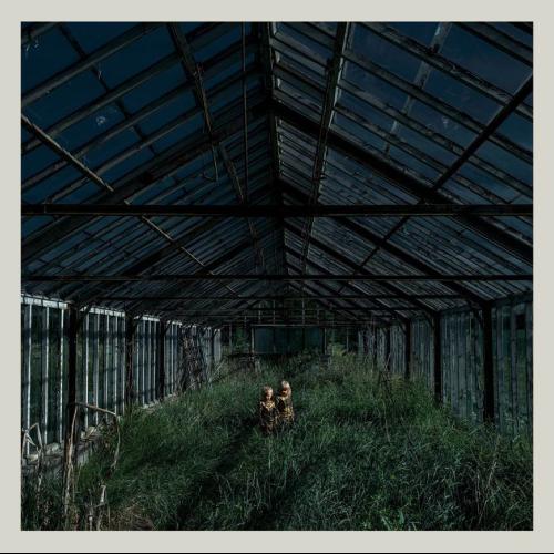 Albumhoes: Dealer van Foxing