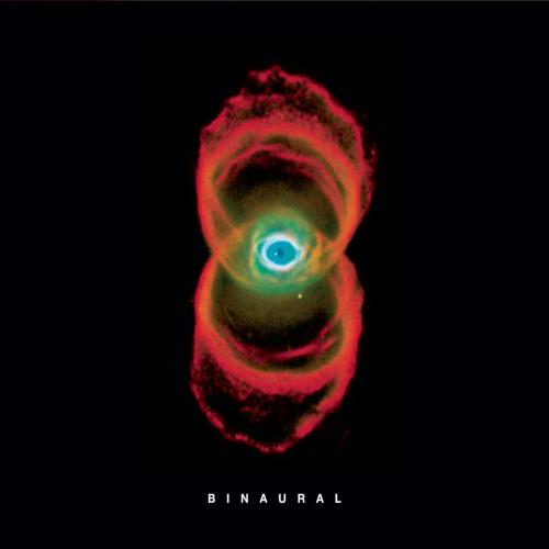 Albumhoes: Binaural van Pearl Jam