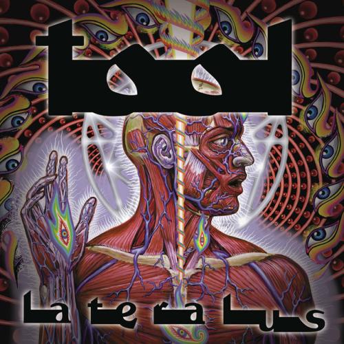 Albumhoes: Lateralus van Tool