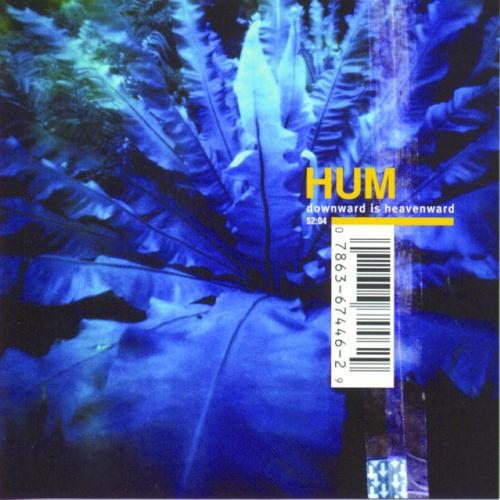 Albumhoes: Downward Is Heavenward van Hum