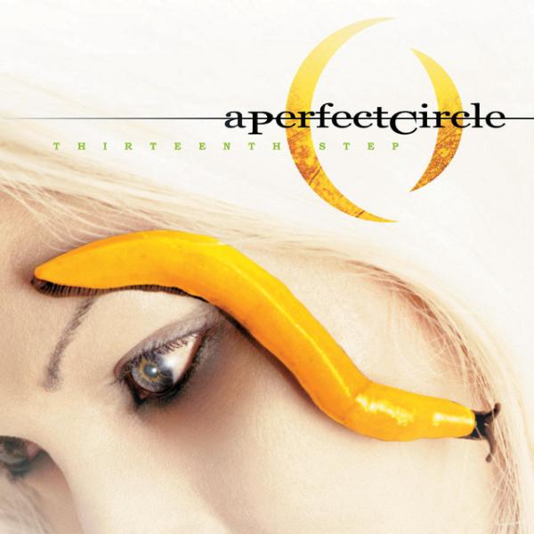 Albumhoes: Thirteenth Step