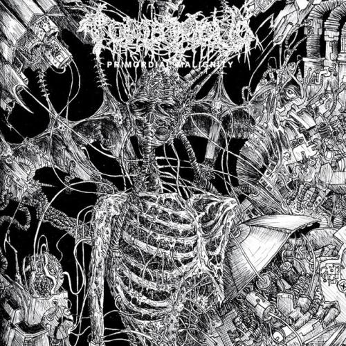 Albumhoes: Primordial Malignity van Tomb Mold