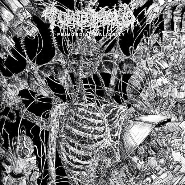Albumhoes: Primordial Malignity