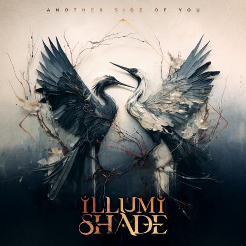 Albumhoes: Another Side of You van ILLUMISHADE