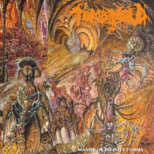 Albumhoes: Manor of Infinite Forms van Tomb Mold
