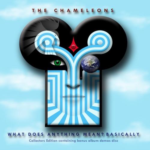 Albumhoes: What Does Anything Mean? Basically van The Chameleons