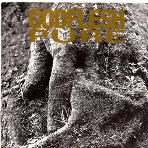 Albumhoes: Pure van Godflesh