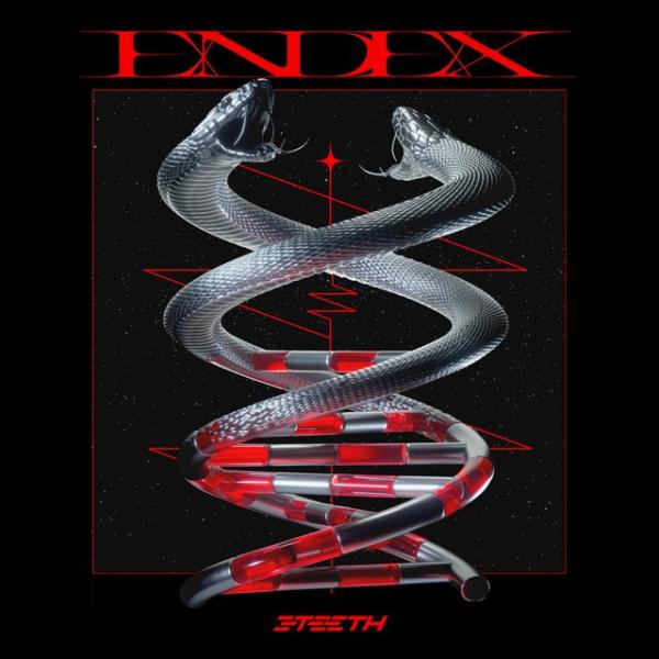 Albumhoes: EndEx