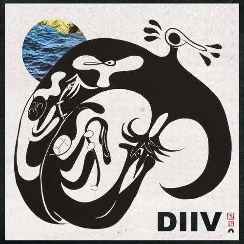 Albumhoes: Oshin van DIIV